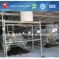 Bird Cage for Hot Sale to Algeria and Africa